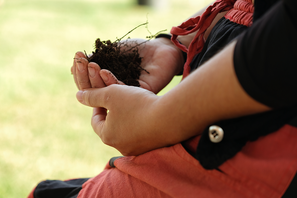 Close-up of a person's hands holding a small pile of dirt.