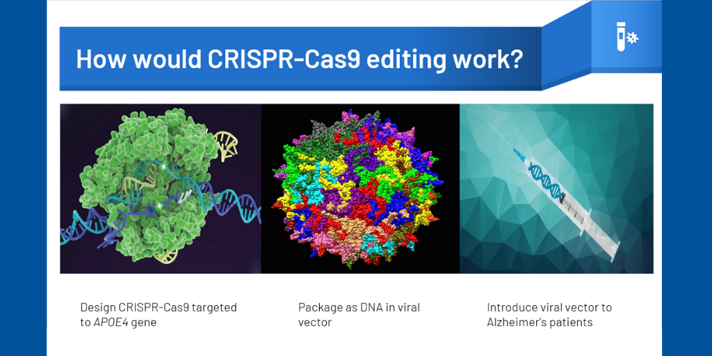 CRISPR slide