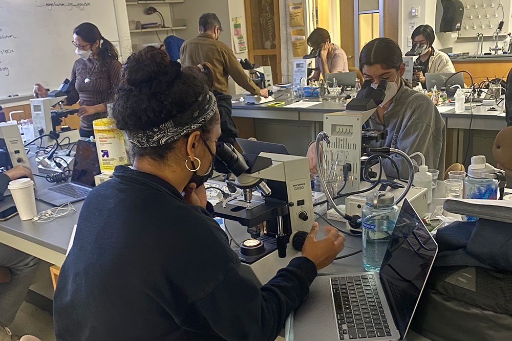 People look through microscopes while seated indoors at tables with lab equipment and laptops.
