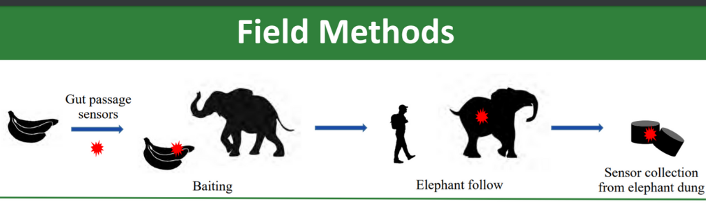 Field methods.