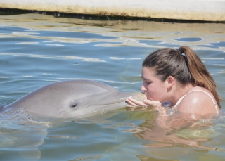 Dana Adcock with a dolphin.