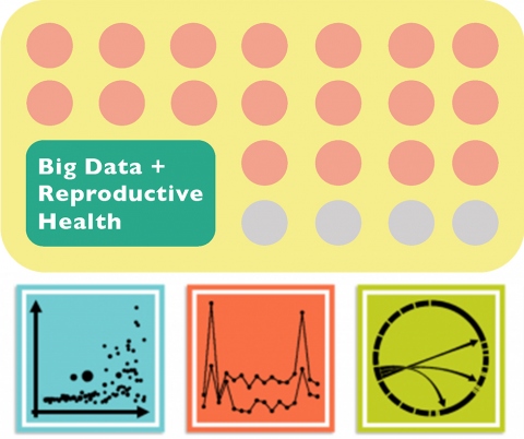 Big Data logo.