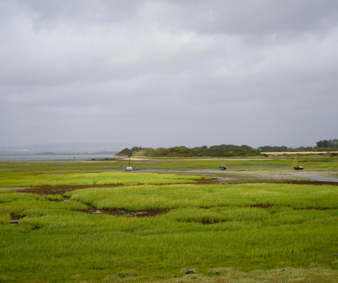 Assessing Climate Change Risk Of Rural Coastal Plain Communities 2023   Fb Coastalplain23 