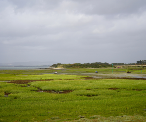 View of a coastal plain.