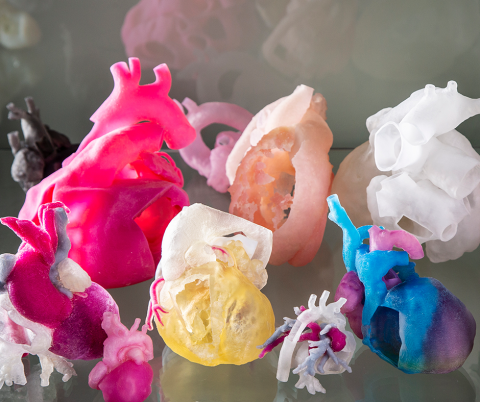 3D-printed hearts on display.