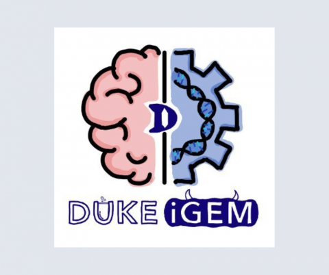 Logo of Duke iGEM team