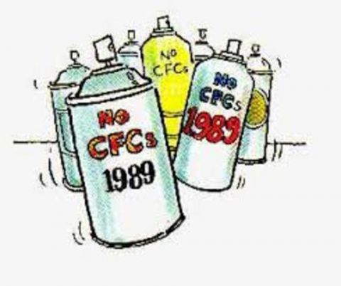 no CFCs 1989