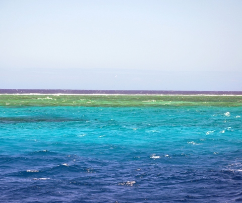 Second Longest Coral Reef in the World.