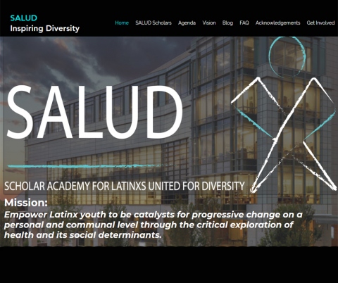 SALUD website.