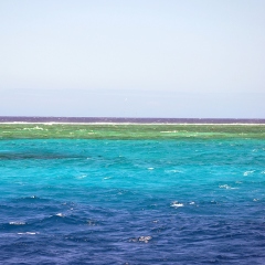 Second Longest Coral Reef in the World, by Eustaquio Santimano, licensed under CC BY-NC-SA 2.0