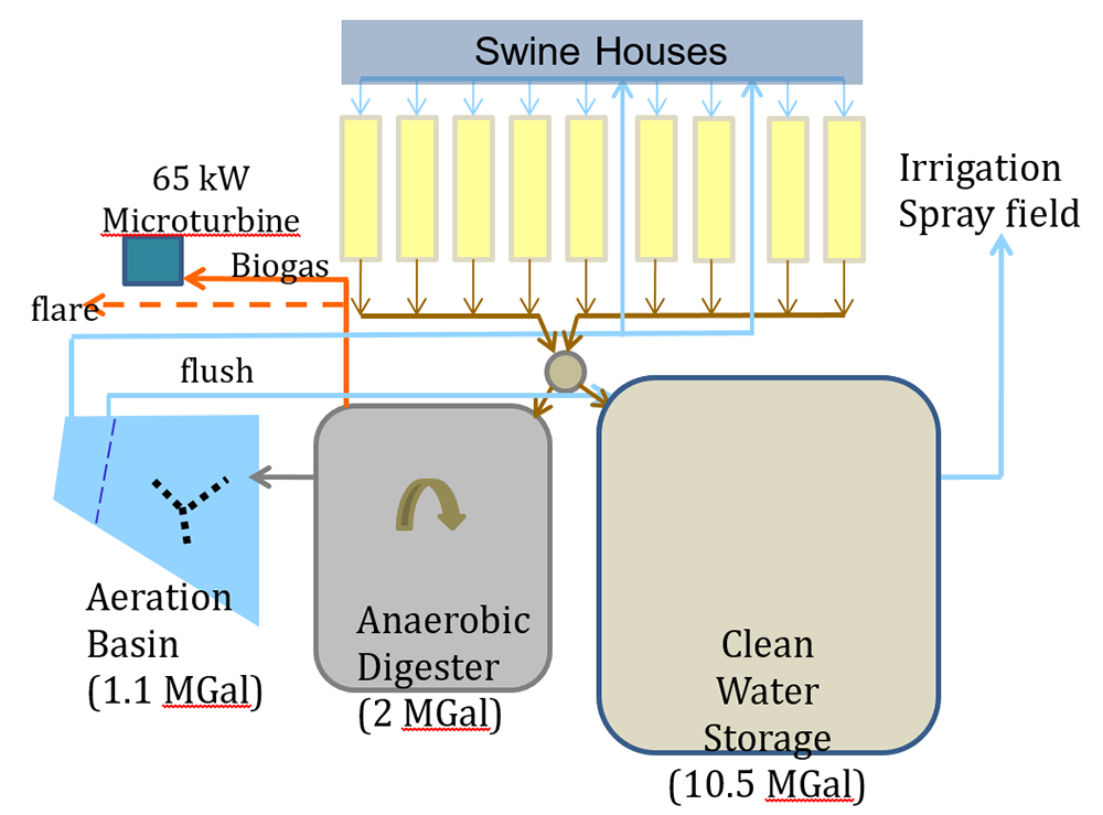 Swine houses