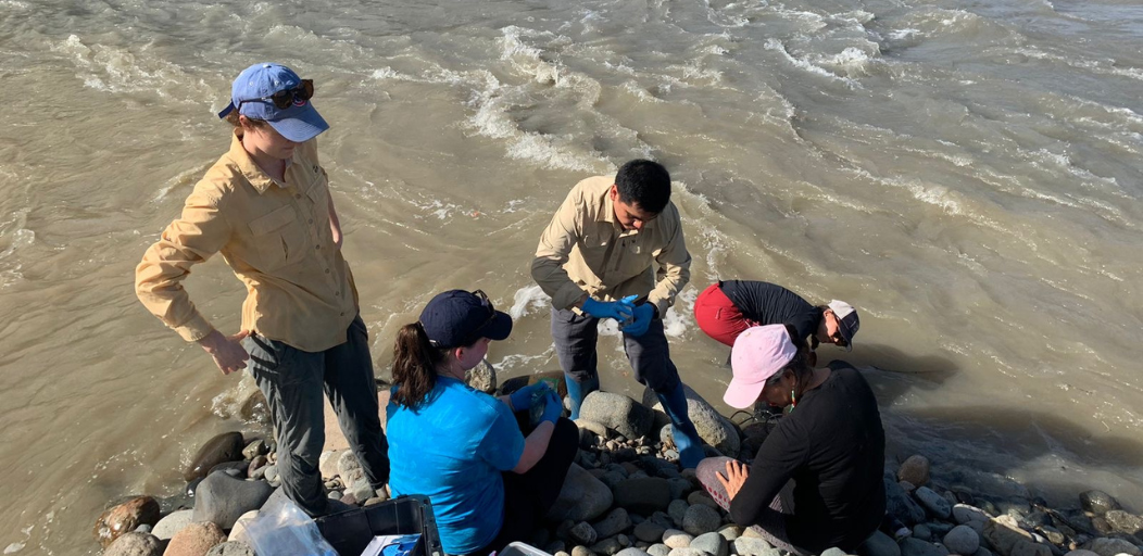 Students completing field research in Ecuador.