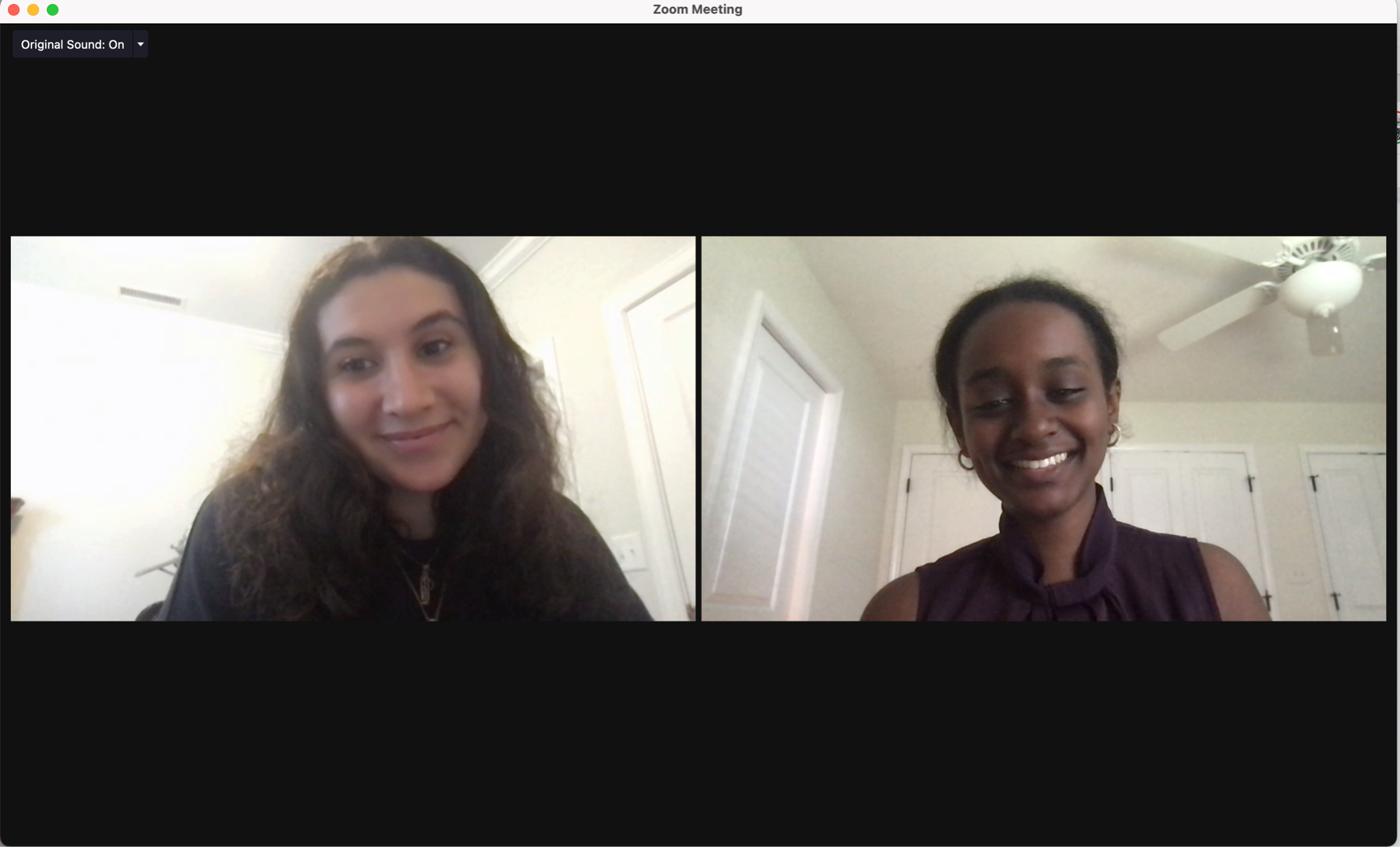 Researchers in a virtual meeting.