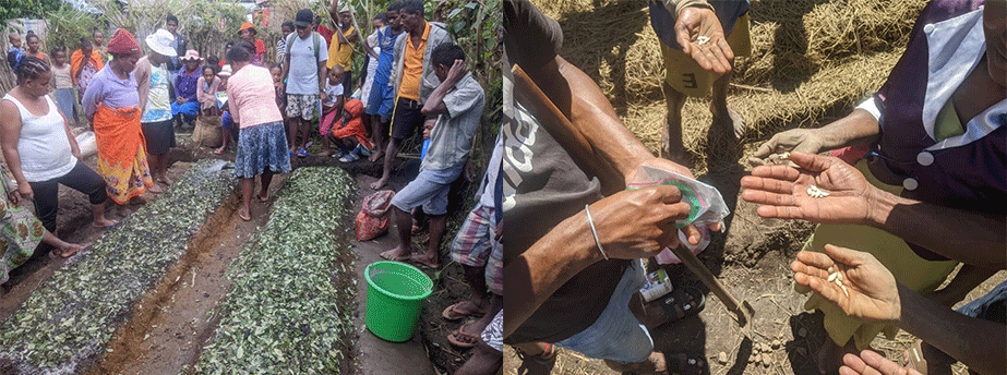 Agriculture training by the team