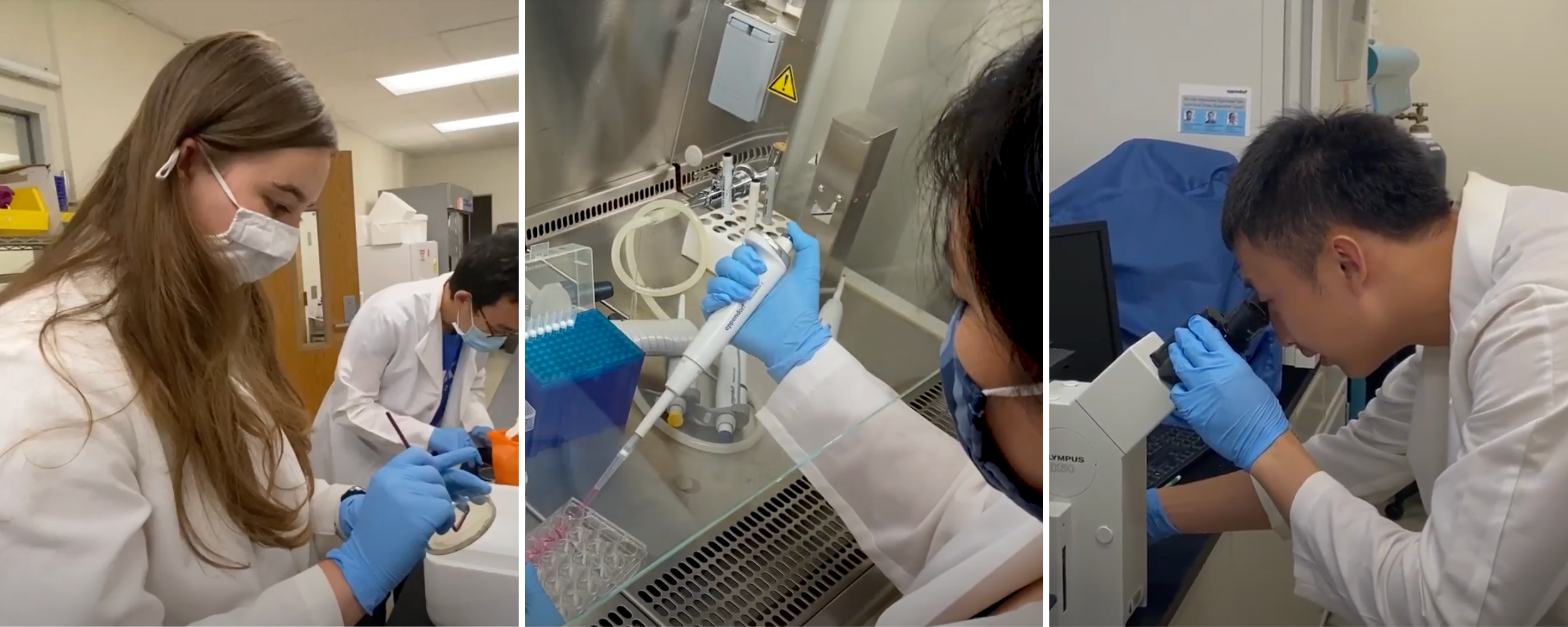 Three photos in a grid: two students doing lab work; one student pipetting; one student looking through a microscope.