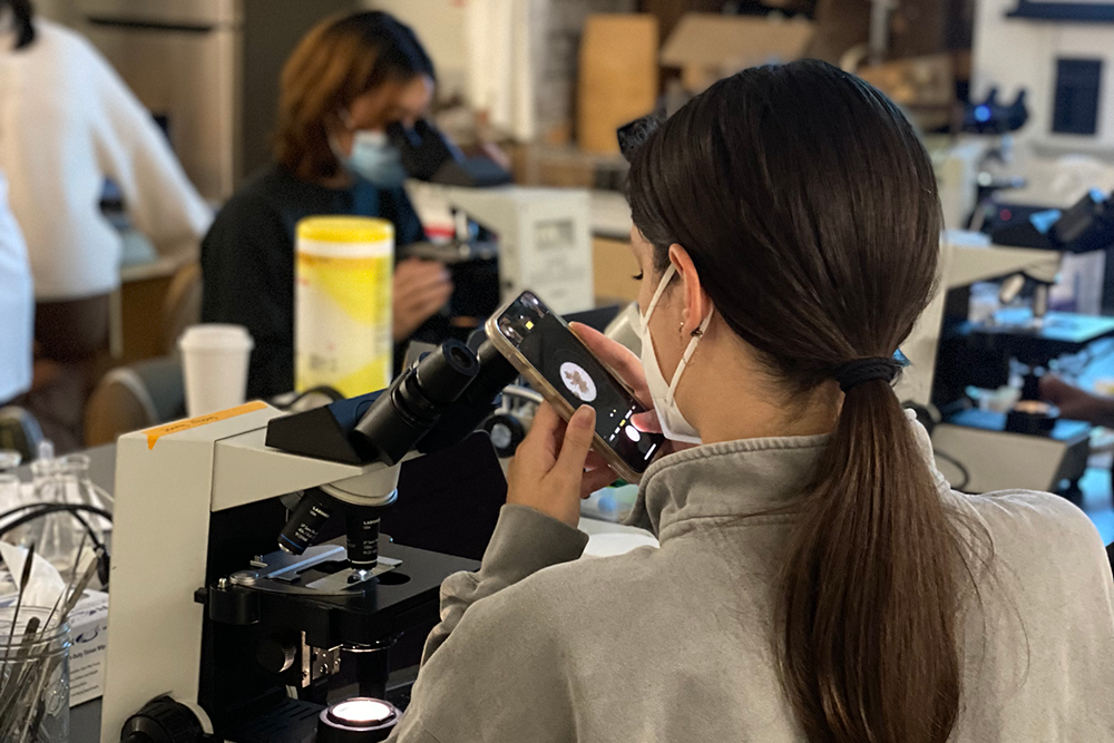 Seen from behind, a woman uses her iPhone to take a photo of what she sees through the microscope.