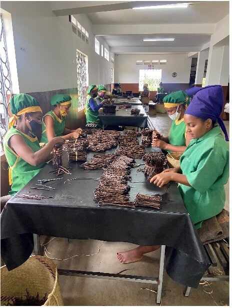 Women working in the vanilla cooperative