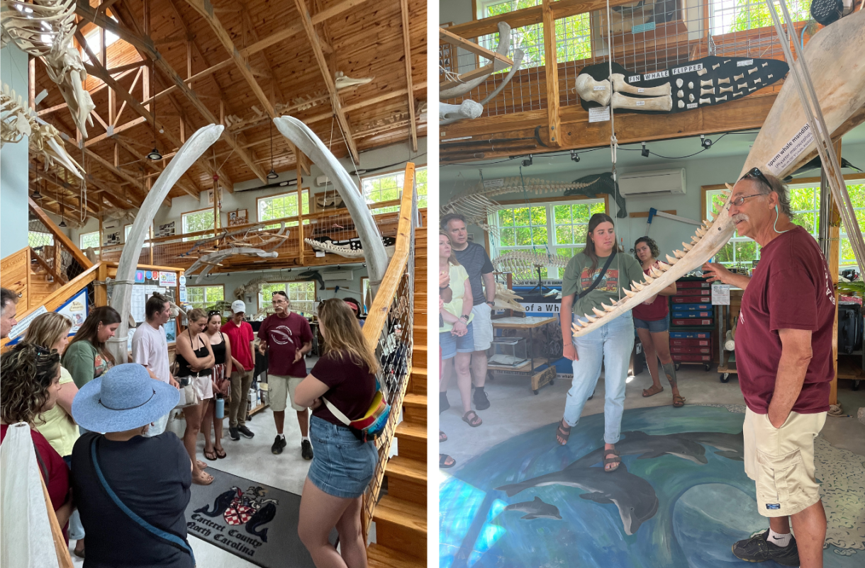 Students in a museum with whale bones.