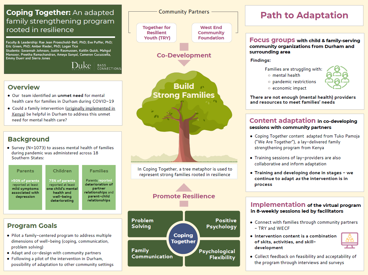 Research poster.