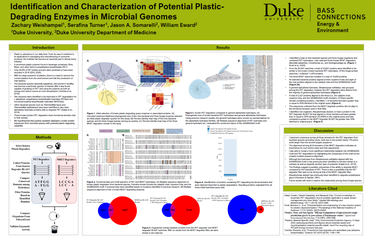 Research poster.